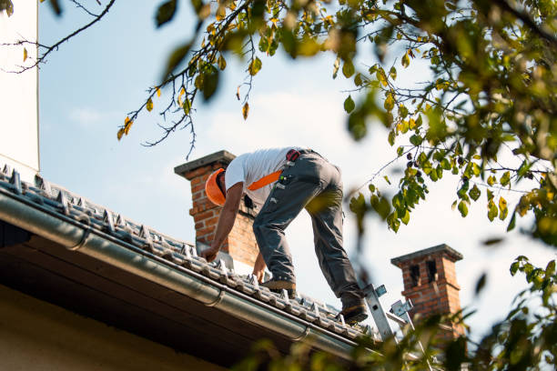Best Slate Roofing Contractor  in Buena Vista, GA